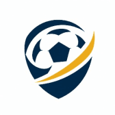 Fotbolls Tröjor Store